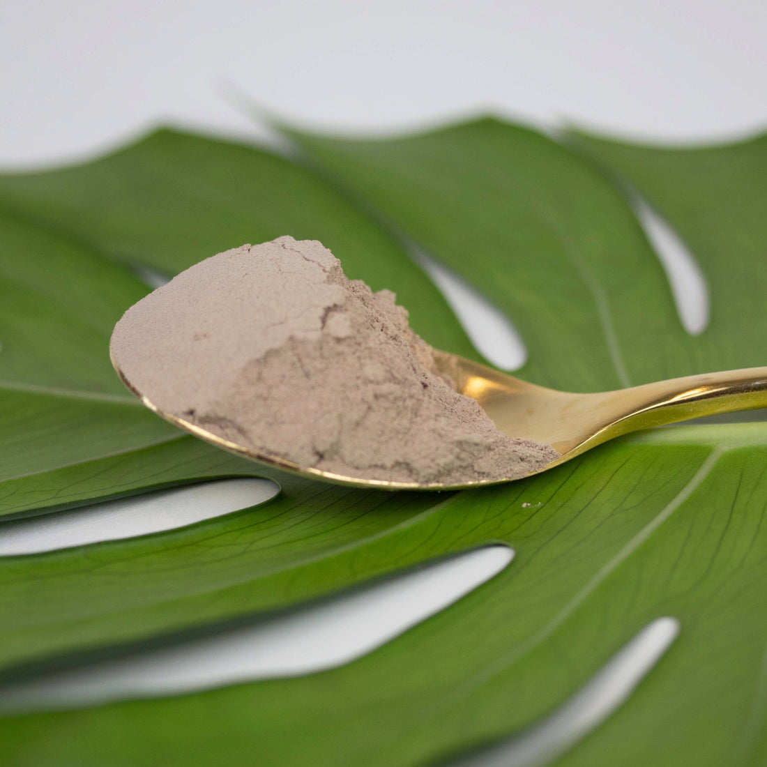 Rose + Hibiscus (Rhassoul Clay Hair Wash) - Blumseed